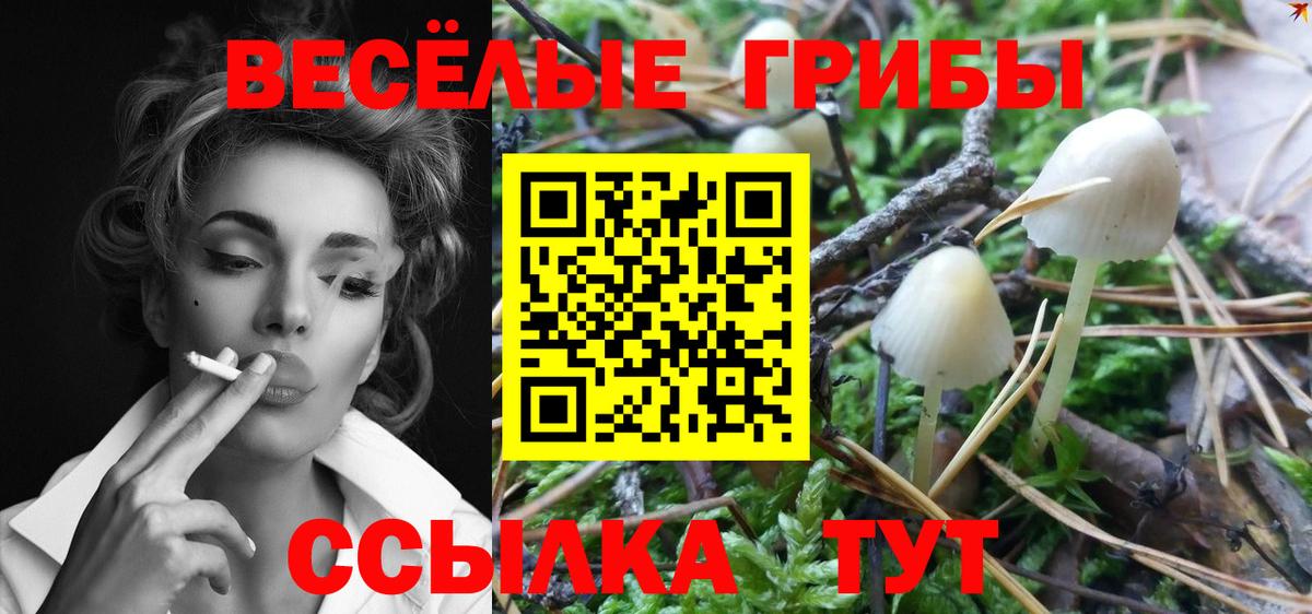 Псилоцибиновые грибы GOLDEN TEACHER Севастополь