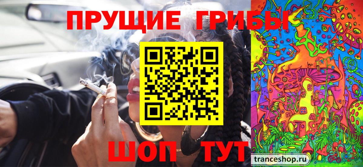 Севастополь  Псилоцибиновые грибы MAGIC MUSHROOMS  Вход с VPN 